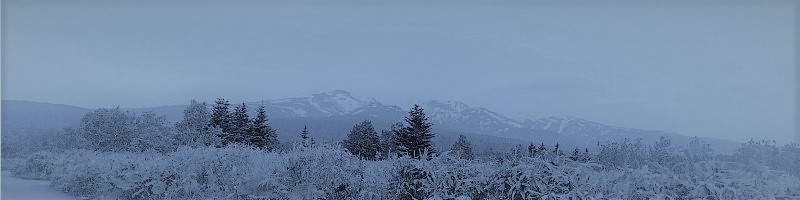 �T�u�X�N�^�d�����u���V�yDentaly�z���T�C�g